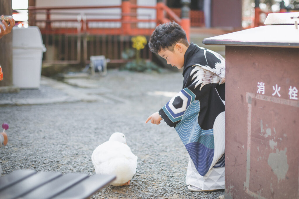 栃木・小山からアクセスしやすい雨引観音での七五三フォト｜小山写真スタジオ撮影