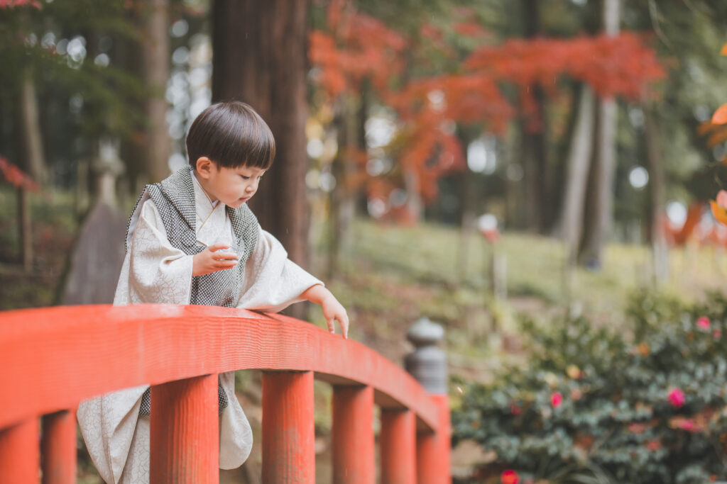 紅葉に包まれた境内で七五三写真を撮る兄弟｜小山市写真スタジオ撮影