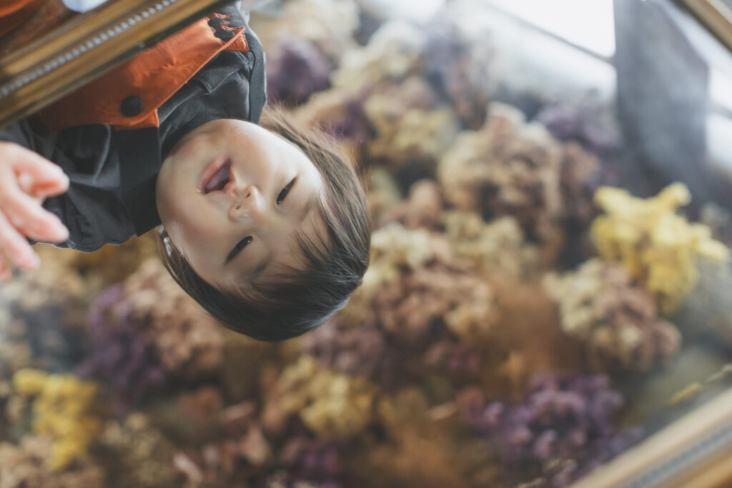 フォトスタジオで落ち着いている1歳男の子のバースデーフォト｜栃木 写真スタジオ
