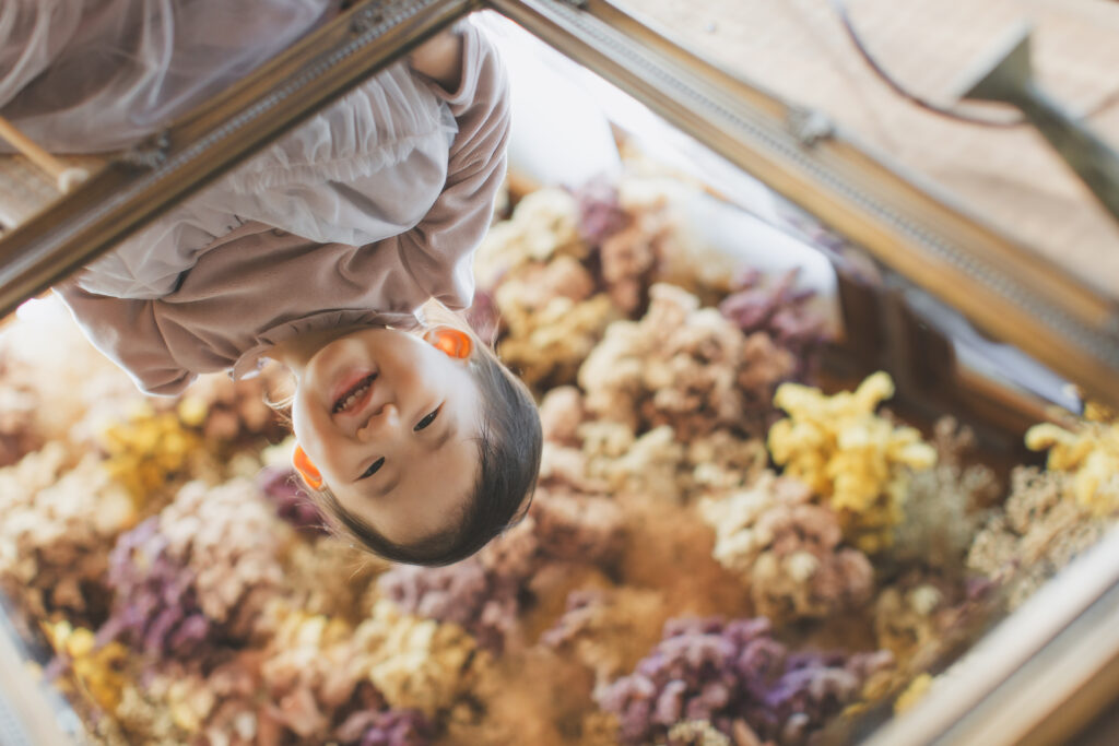 小山写真スタジオで撮影した2歳バースデーフォト