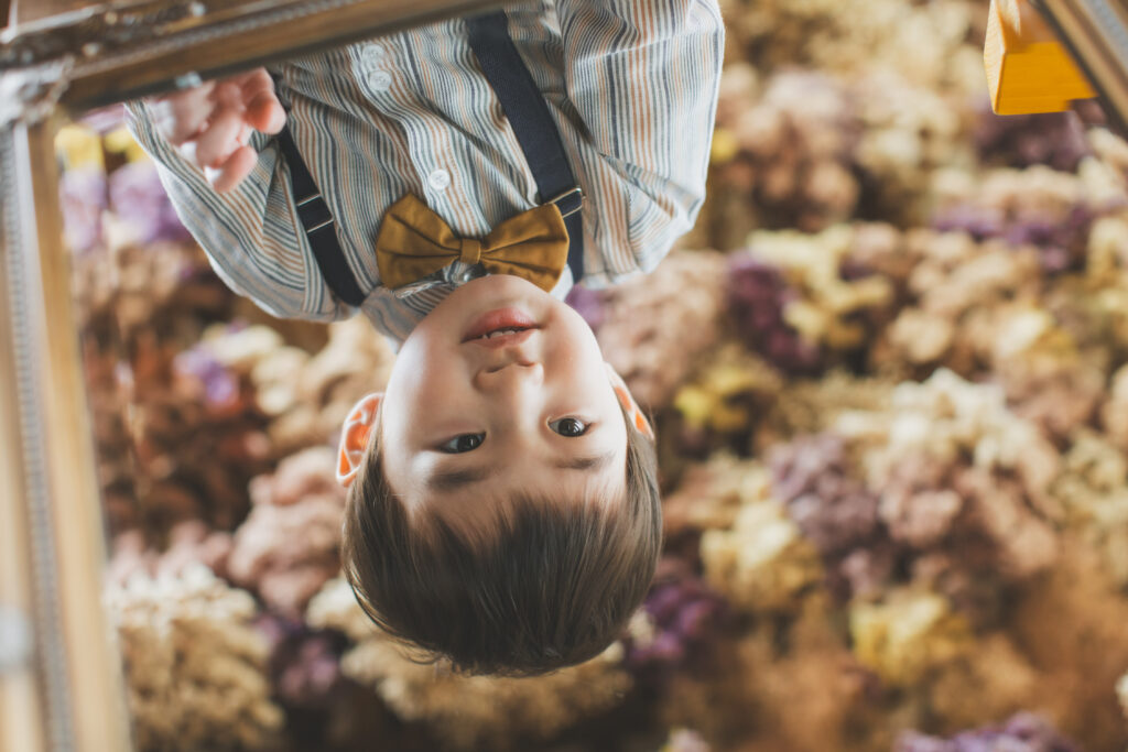 蝶ネクタイをつけた誕生日写真