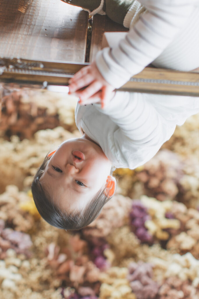 バースデーフォト スタジオ撮影カット