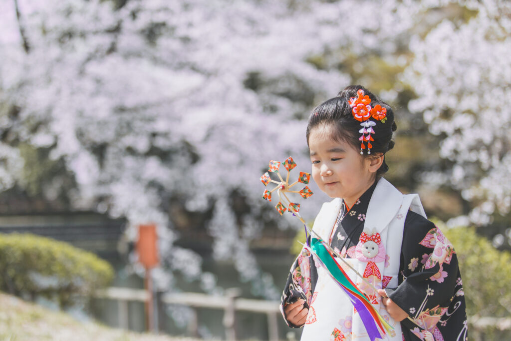 桜と3歳七五三写真