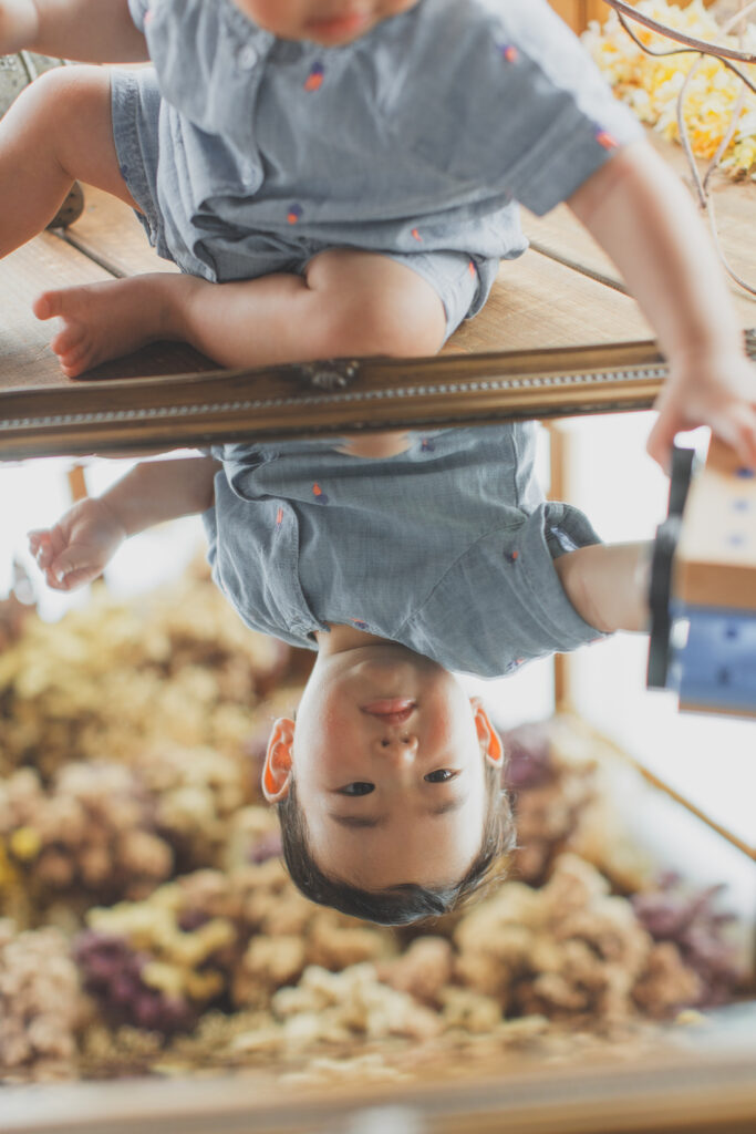 写真館での1歳撮影