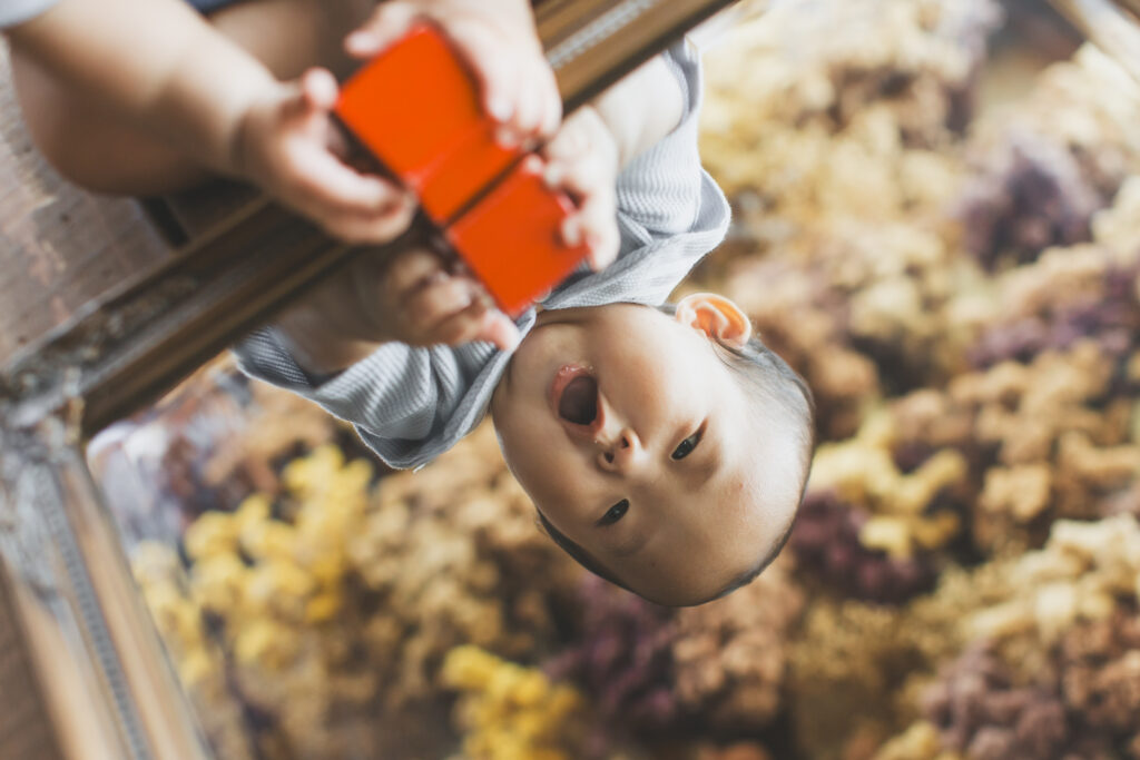 写真館での1歳記念写真